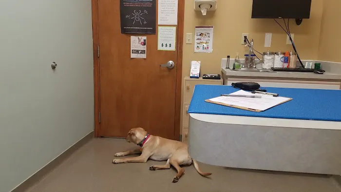 VCA Paw Prints Animal Hospital 12