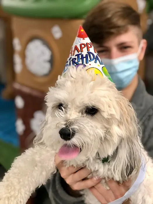Petsburgh Pet Care 12