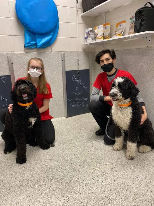 Petsburgh Pet Care 12