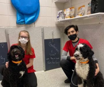 Petsburgh Pet Care