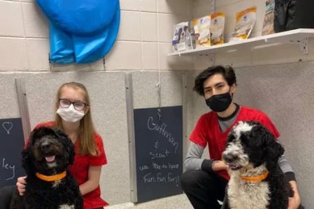 Petsburgh Pet Care