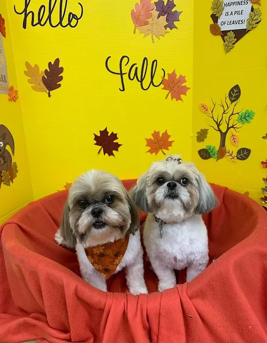 Petsburgh Pet Care 12