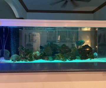 Delray Reef Shop