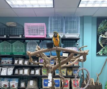 Brenda & Billy’s Aviary