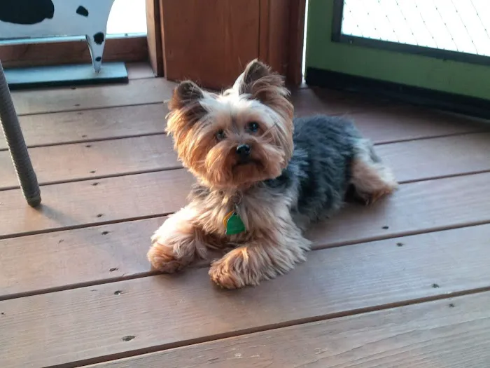 Creekside Animal Hospital 8
