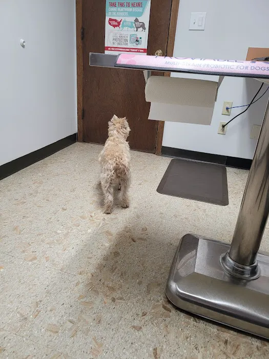 Creekside Animal Hospital 7