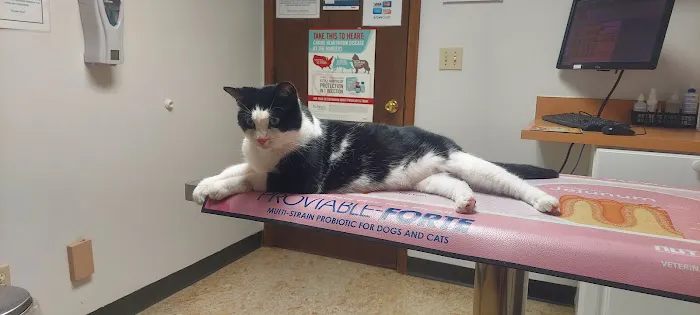 Creekside Animal Hospital 5