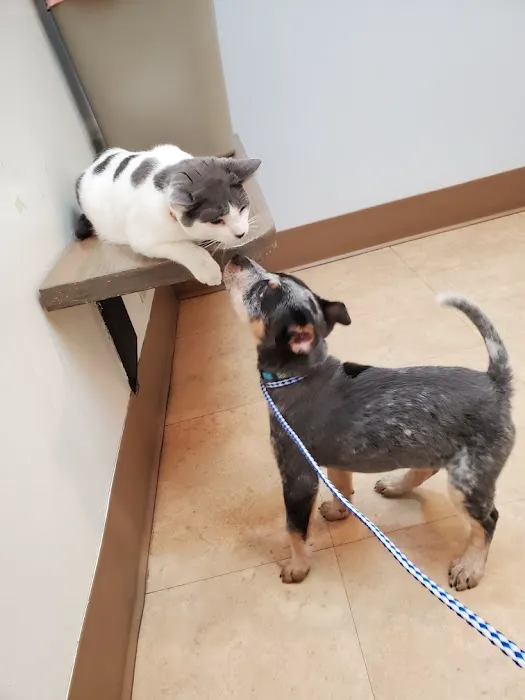 Creekside Animal Hospital 4
