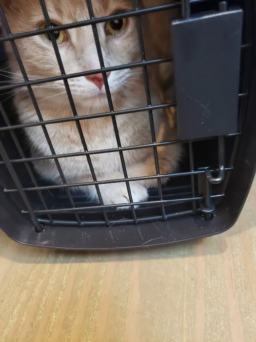 Creekside Animal Hospital 9