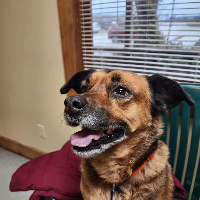 Horizon Veterinary Services 12