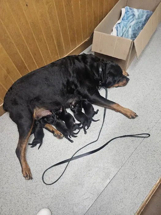 Horizon Veterinary Services 12
