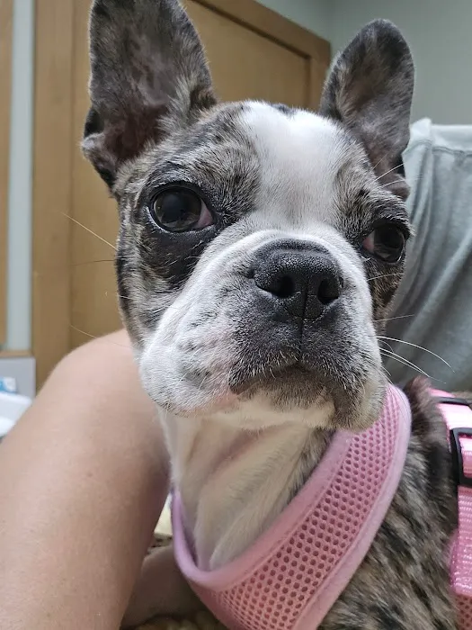 Horizon Veterinary Services 12