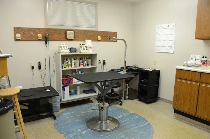 Kokomo Animal Hospital 12