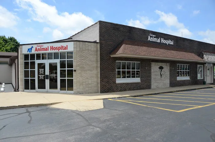 Kokomo Animal Hospital 12