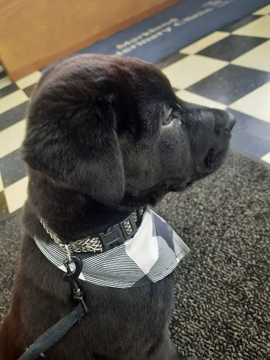 Markland Veterinary Clinic 12