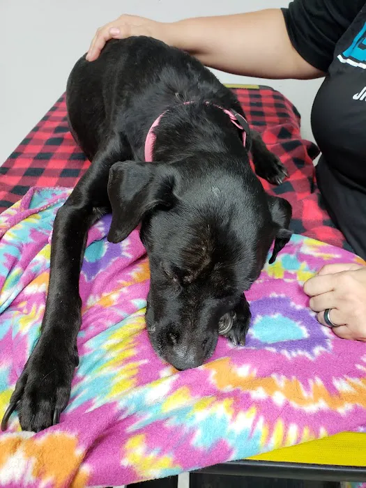 Markland Veterinary Clinic 12