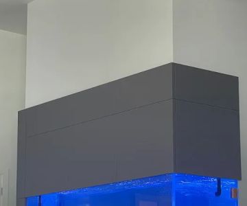 Custom Reef Aquarium Designs