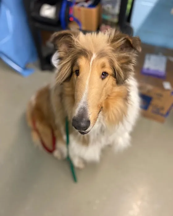 Northeast Animal Clinic 12