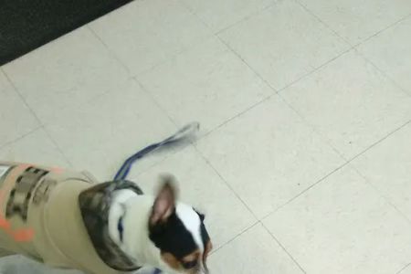 Battle Ground Veterinary Clinic, PC
