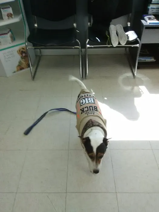 Battle Ground Veterinary Clinic, PC 12