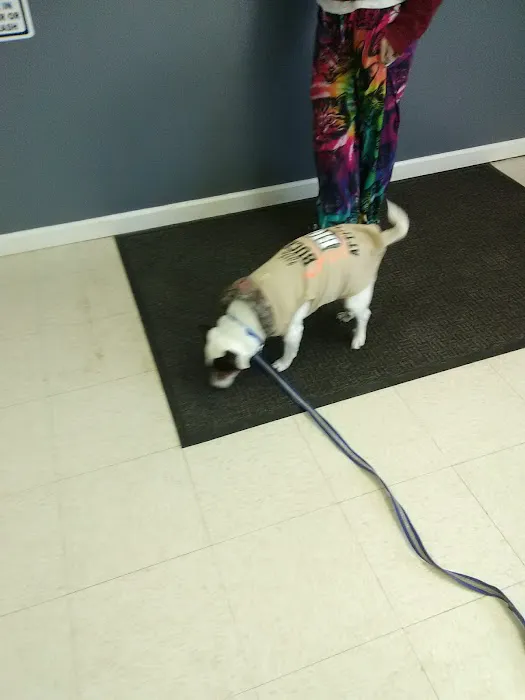 Battle Ground Veterinary Clinic, PC 12