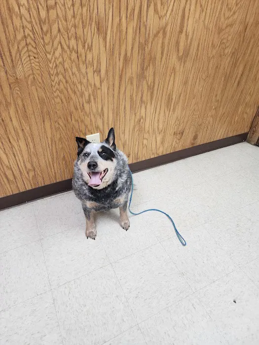 Battle Ground Veterinary Clinic, PC 12