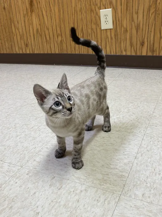 Battle Ground Veterinary Clinic, PC 12