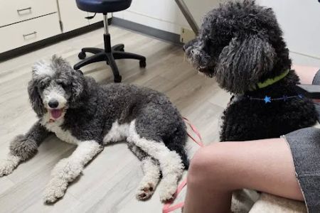 West Central Veterinary Services