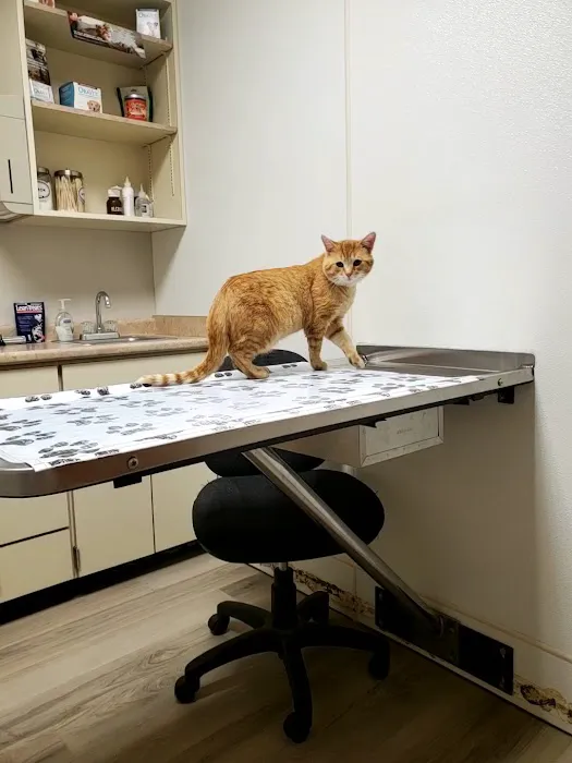 West Central Veterinary Services 12
