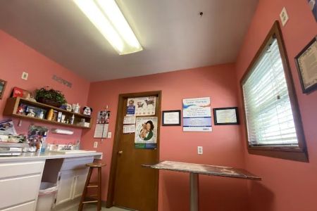 Sullivan County Animal Hospital
