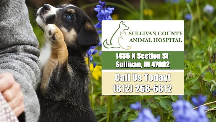 Sullivan County Animal Hospital 12