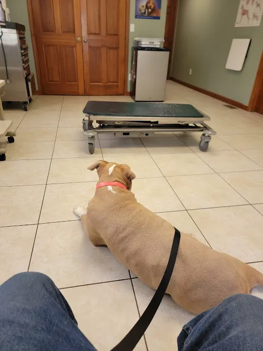 Eastside Veterinary Clinic 12