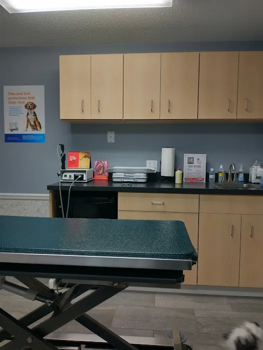Eastside Veterinary Clinic 12