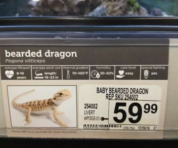 Petco
