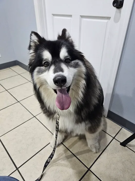 Washington Veterinary Hospital 12