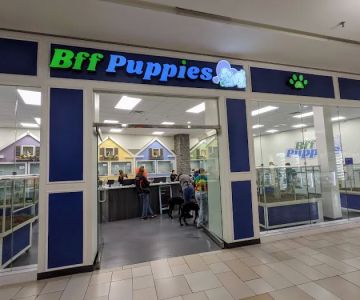 Bff Puppies