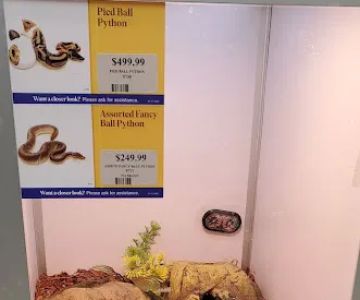 Pet Supermarket