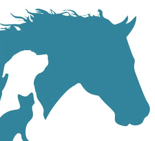 Cumback Veterinary Services 12