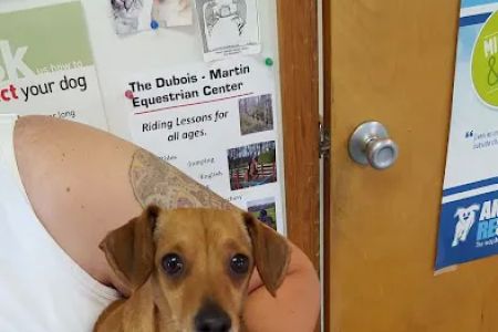Cumback Veterinary Services