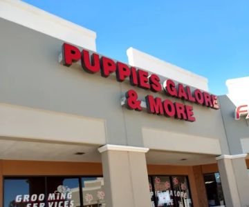 Puppies Galore & More