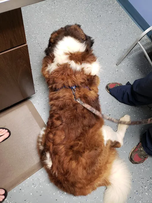 Animal Care Clinic 12
