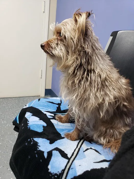Animal Care Clinic 12