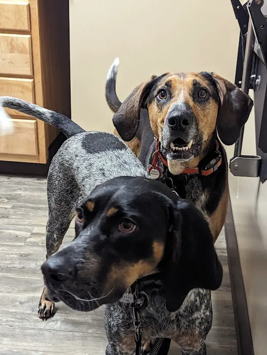 Germantown Animal Health Center 12