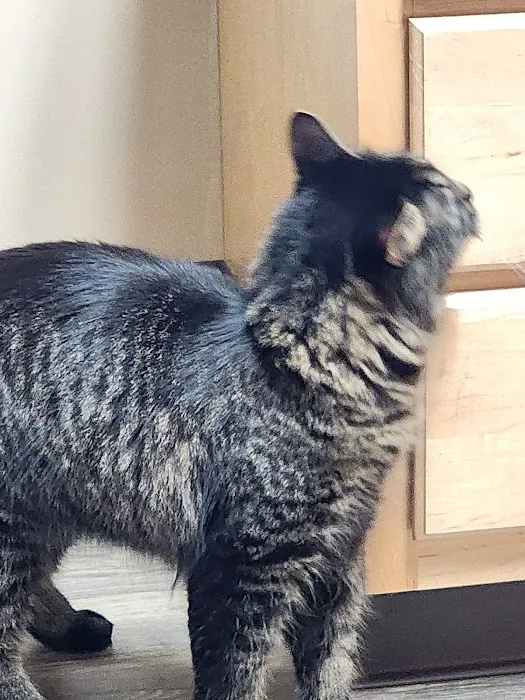 Germantown Animal Health Center 12