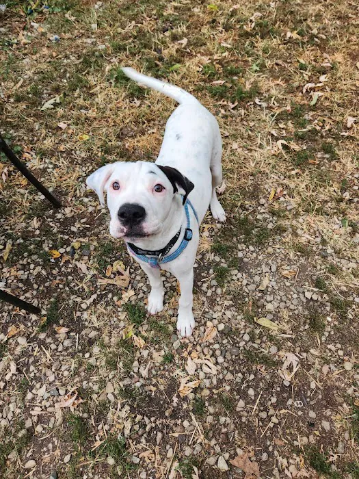 Germantown Animal Health Center 12