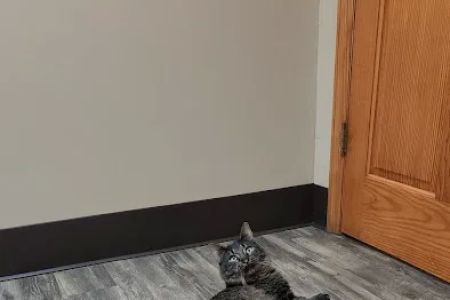 Germantown Animal Health Center