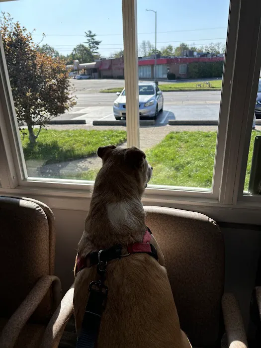 Towne & Country Animal Clinic 12