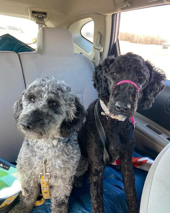 Towne & Country Animal Clinic 12