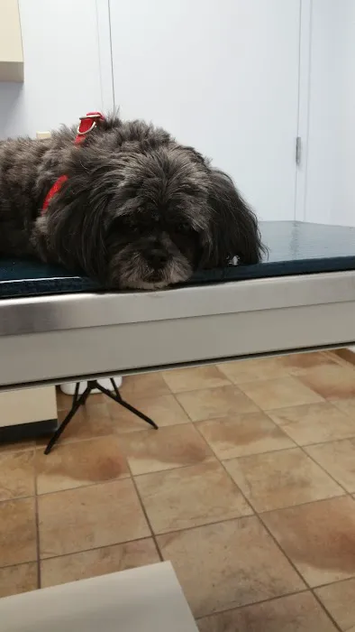 Cloud Park Animal Clinic 12