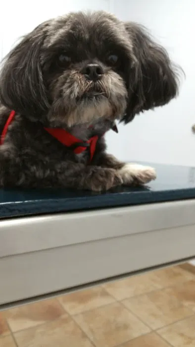 Cloud Park Animal Clinic 12